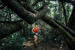 BIB: 
                            <button type="button" onclick="openModal(25663452)" class="btn btn-primary btn-sm float-right btn-popup" data-toggle="modal" data-target=".modal-high-quality">
                        <i class="fas fa-shopping-cart"></i> Add to Cart
                    </button>
                                            <button type="button" onclick="isThisMe(25663452, true)" class="btn btn-success btn-sm float-right btn-popup btn-isme hidden" data-toggle="tooltip" data-placement="bottom" title="นี่คือรูปของคุณใช่ไหม คลิกที่นี่เพื่อเอาเข้าอัลบั้ม">
                        <i class="fas fa-plus"></i> Add to album
                    </button>
                    <button type="button" onclick="isThisMe(25663452, false)" class="btn btn-warning btn-sm float-right btn-popup btn-isnotme hidden">
                        <i class="fas fa-ban"></i> Remove from album
                    </button>